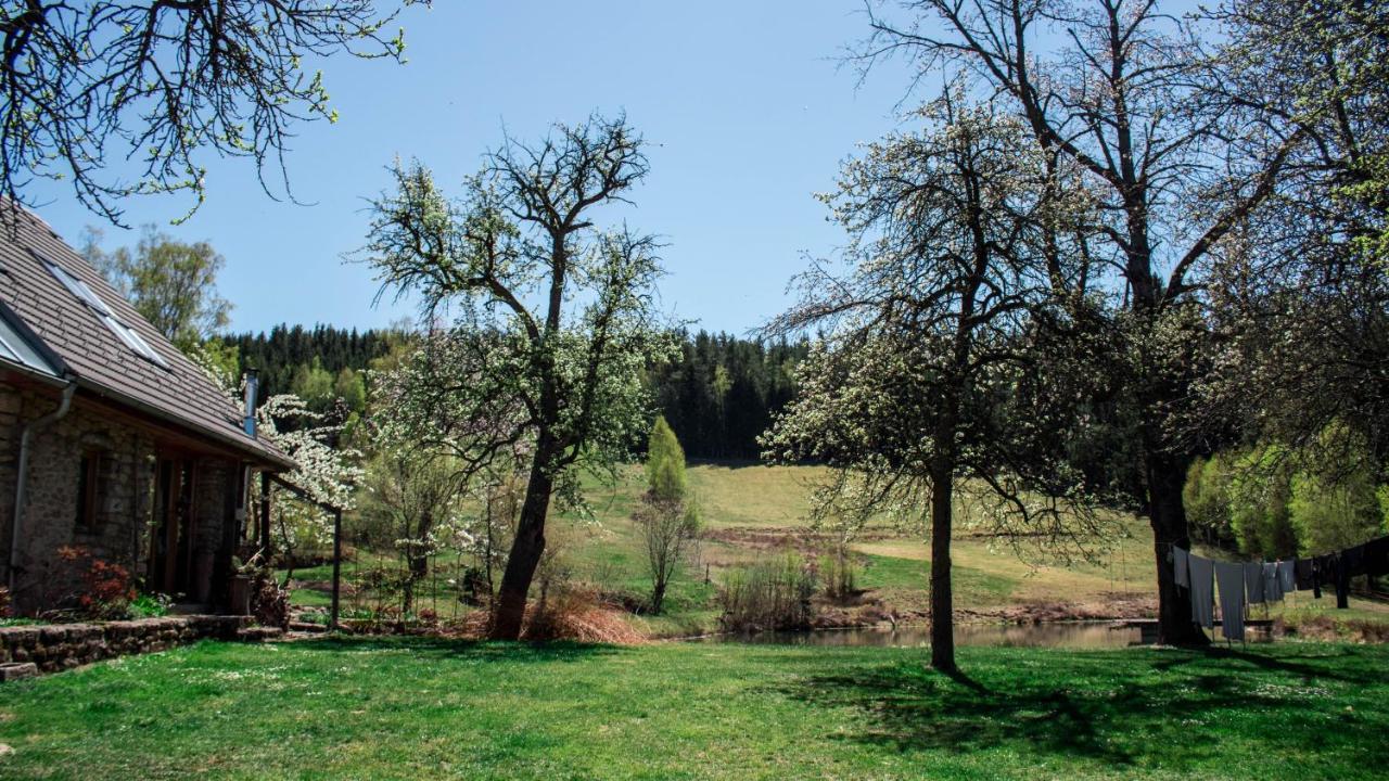 Gollitzalm Holiday home