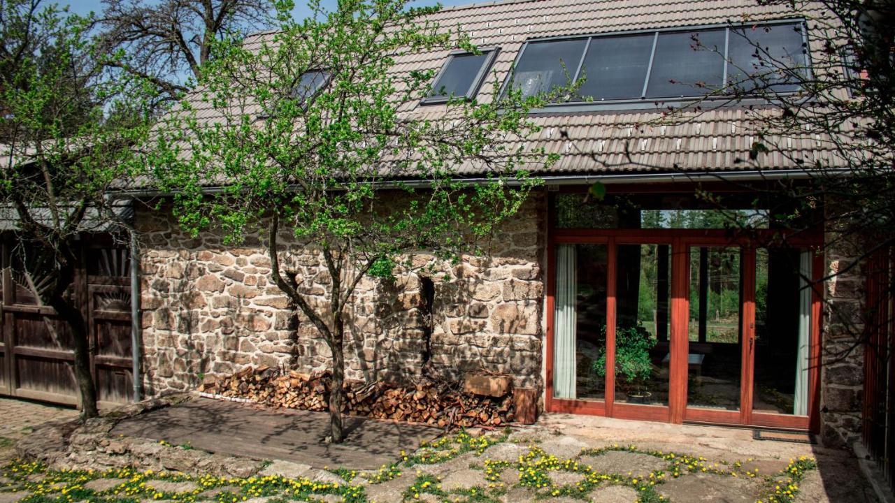 Holiday home Gollitzalm *